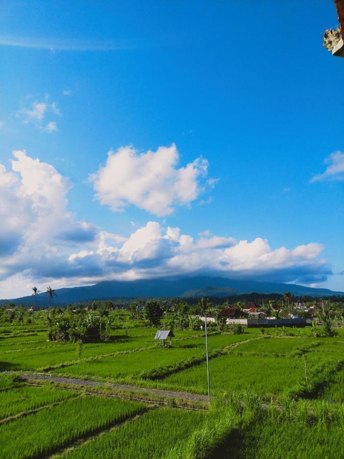 Limun Guesthouse Amlapura Экстерьер фото